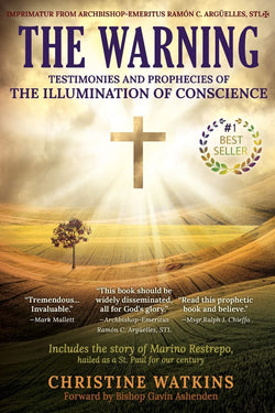 The Warning - Testimonies and Prophesies of the Illumination of Conscience by Christine Watkins