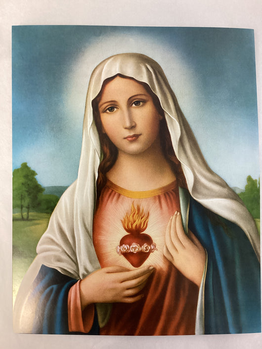 Sacred Heart of Mary - Print